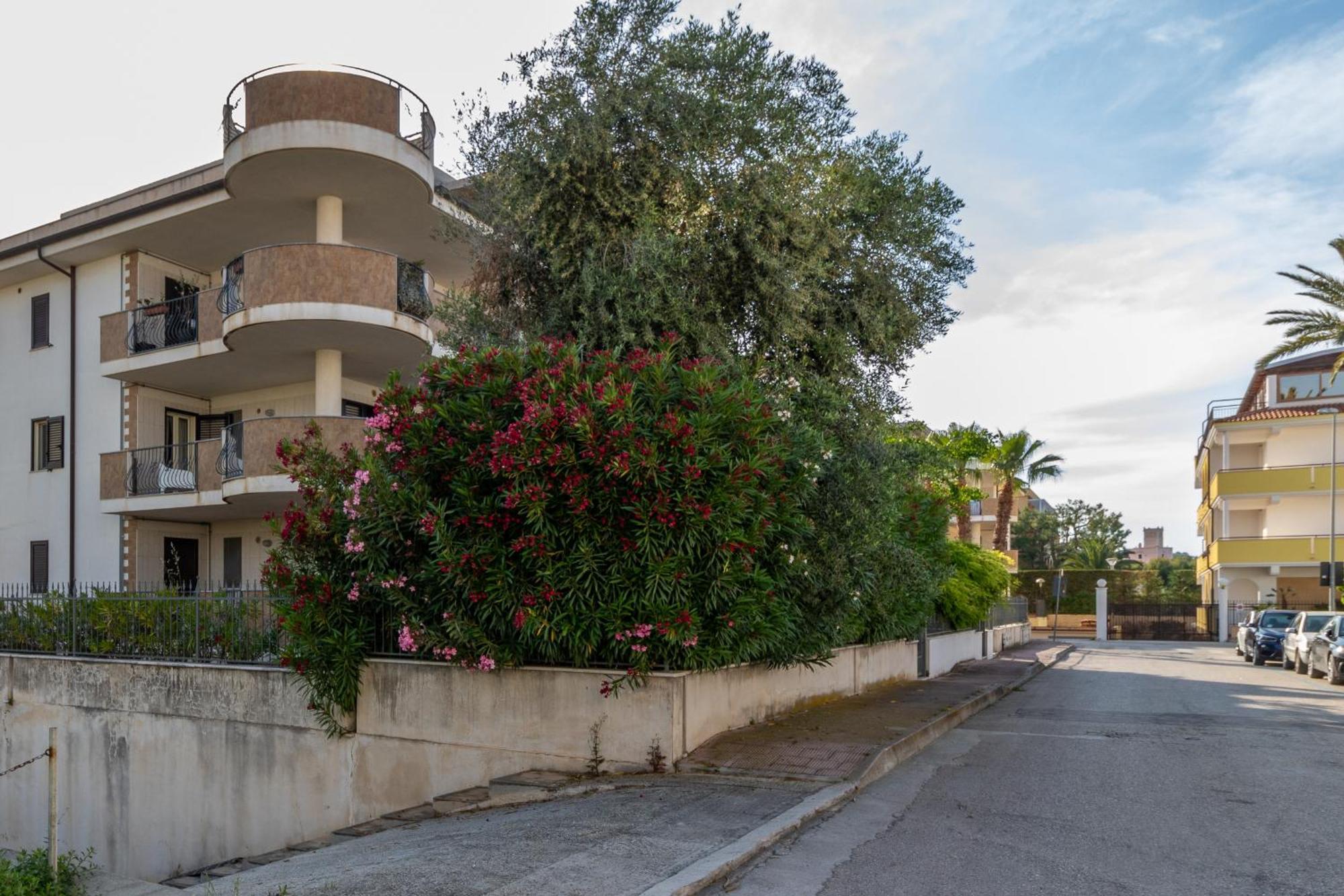 Virna Casa Vacanze 维耶斯泰 外观 照片